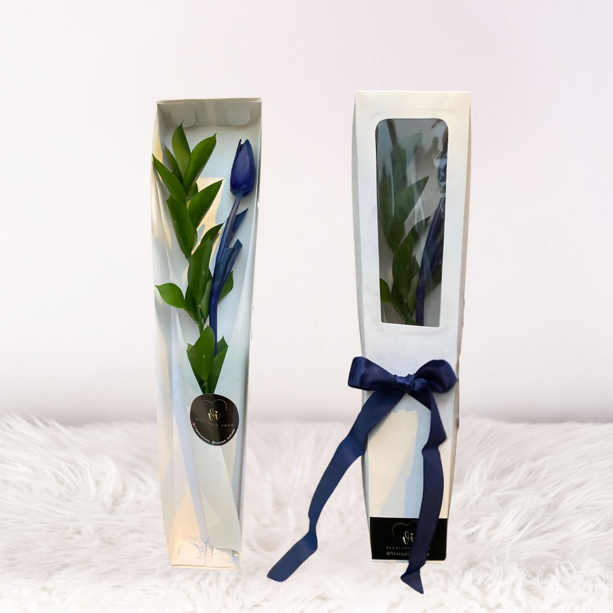 GENERICO - Caja de 1 Tulipán Azul - Flores azules - Arreglo floral