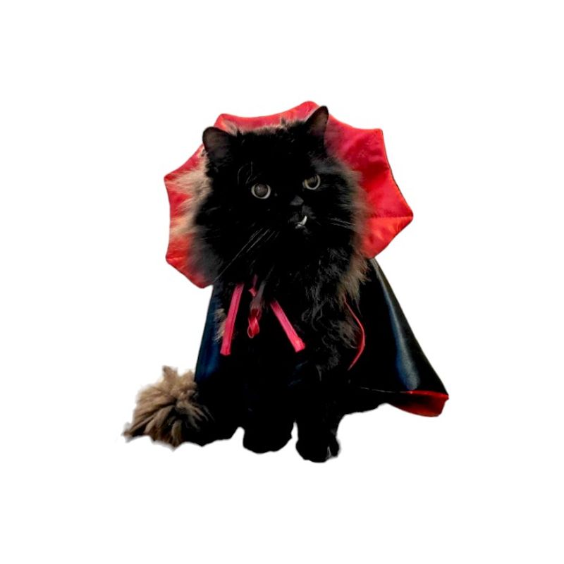 GENERICO - Capa Disfraz de drácula para Mascotas  - Talla S
