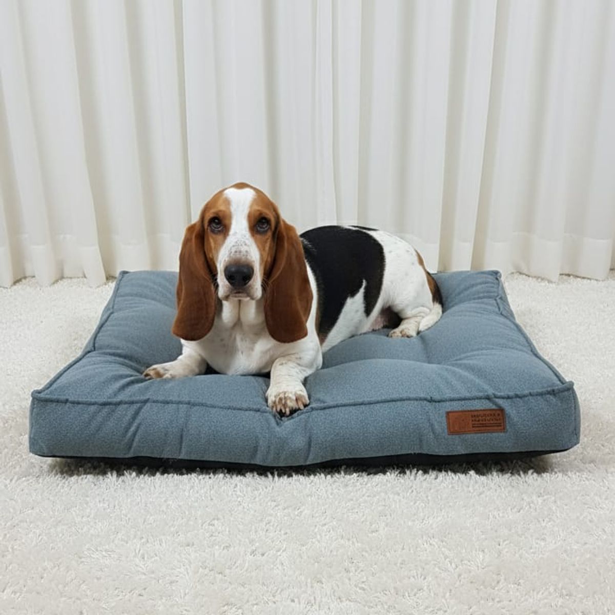 GENERICO - COLCHONETA PARA PERROS 80X70CM TALLA XL ANTIALÉRGICA Y LAVABLE