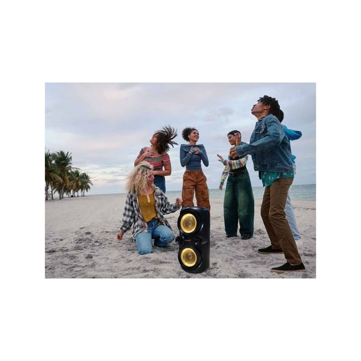 OEM - PARLANTE BLUETOOTH LIDIMI PORTÁTIL LD-S008AC