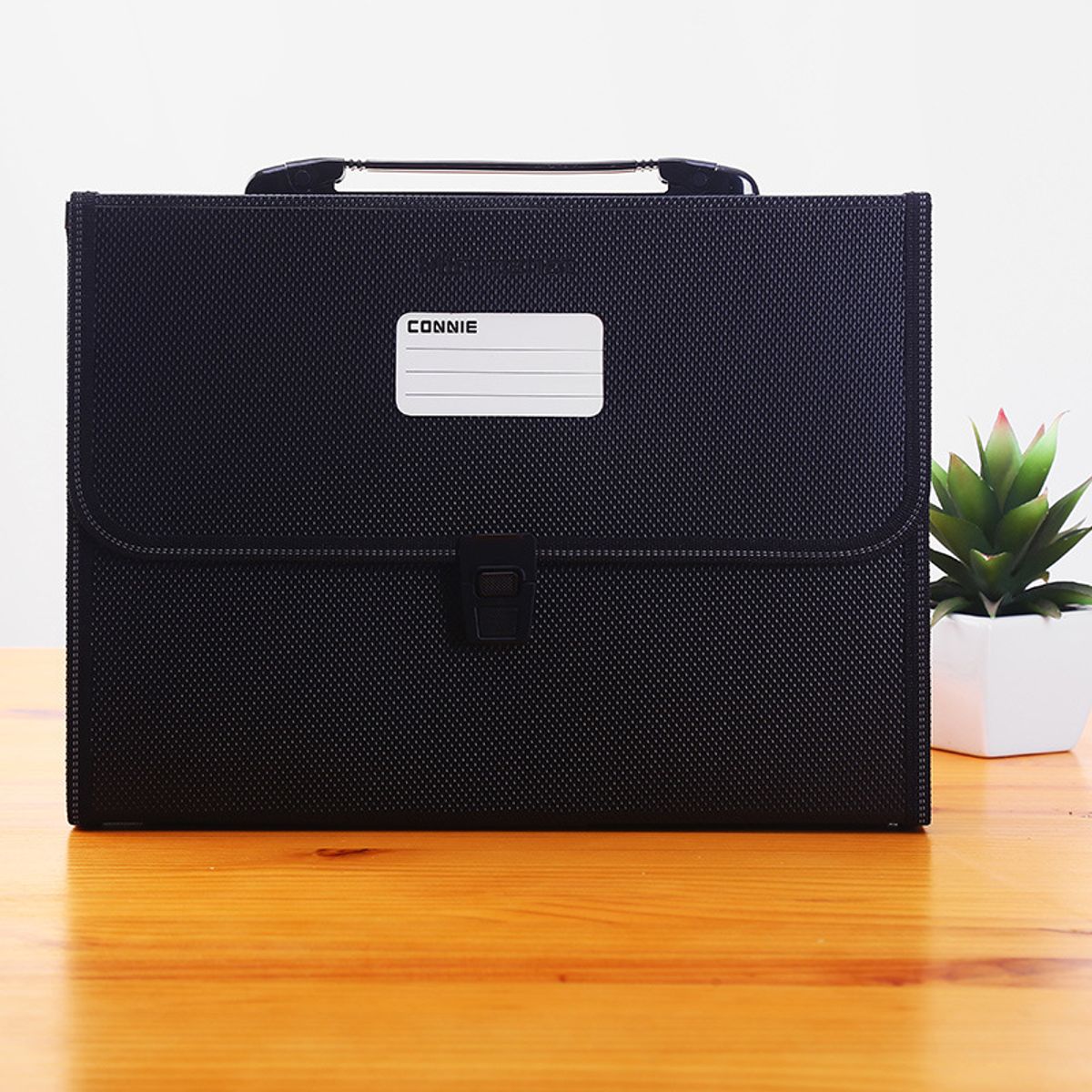 BAALATHKKO5 - Carpeta Organizadora Clasificadora Archivo 13 Compartimentos - NEGRO