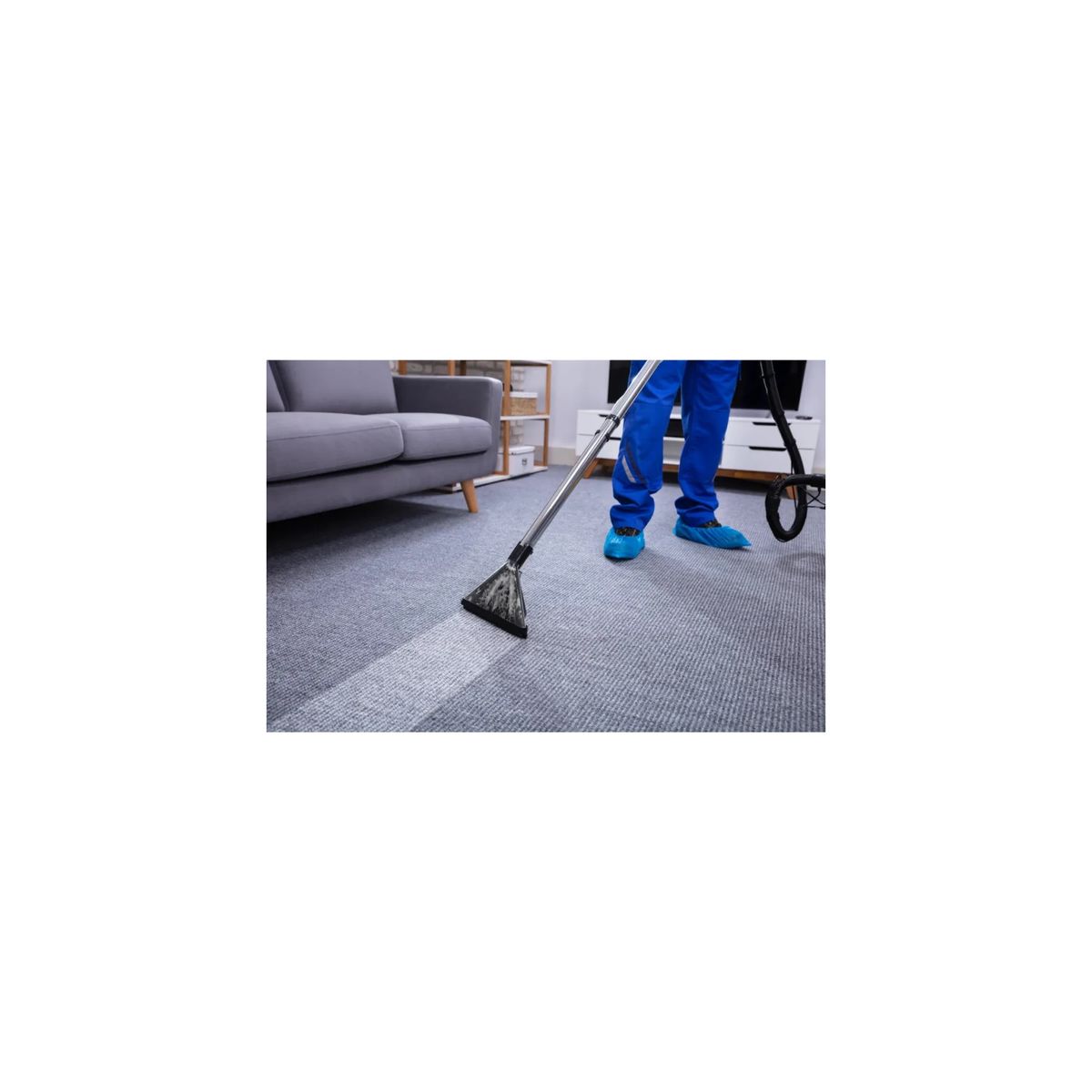 INNOVALIM - Limpieza Profesional Alfombra decorativa 230x160 mt