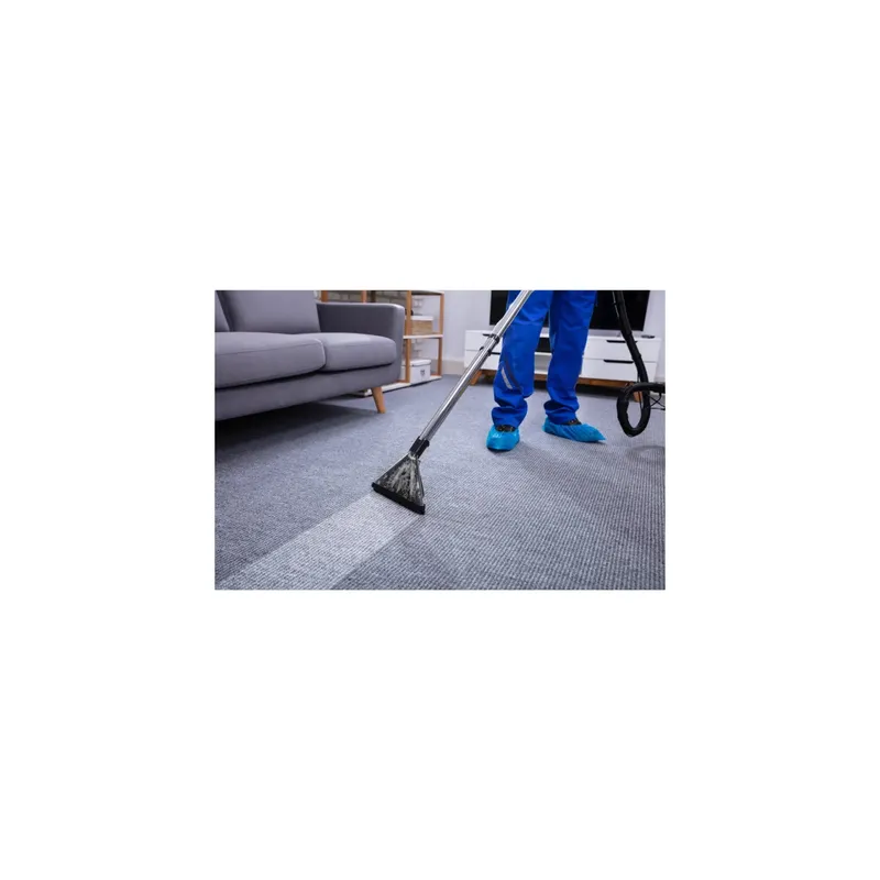 INNOVALIM - Limpieza Profesional Alfombra decorativa 230x160 mt