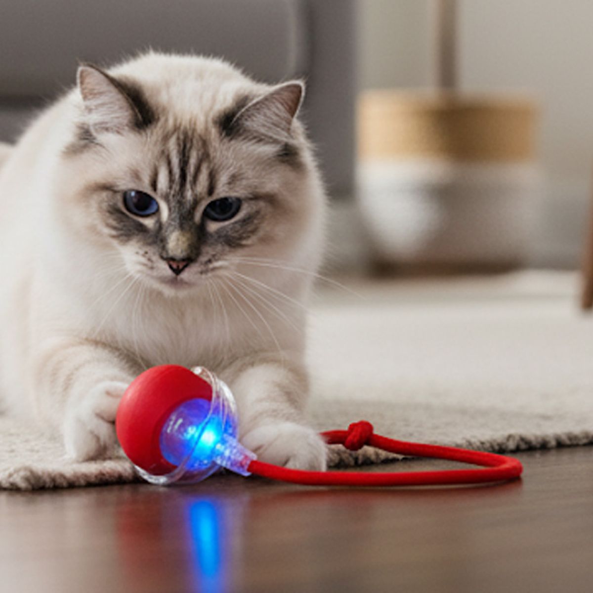 AMICATS - Pelota Interactiva con Cuerda para Gatos y Perros Rojo