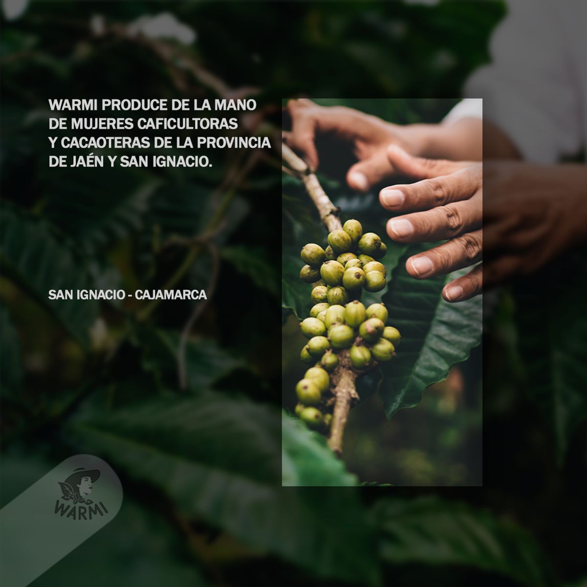 OEM - Café Warmi  250G ( proceso natural )