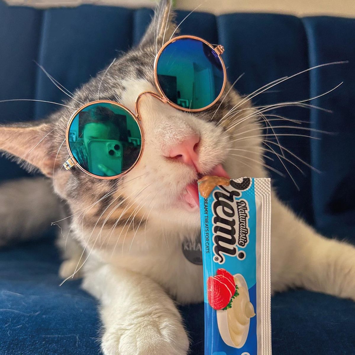 GENERICO - Snack para Gato Cremi Box Mix Surtido Pack 30 Tubos