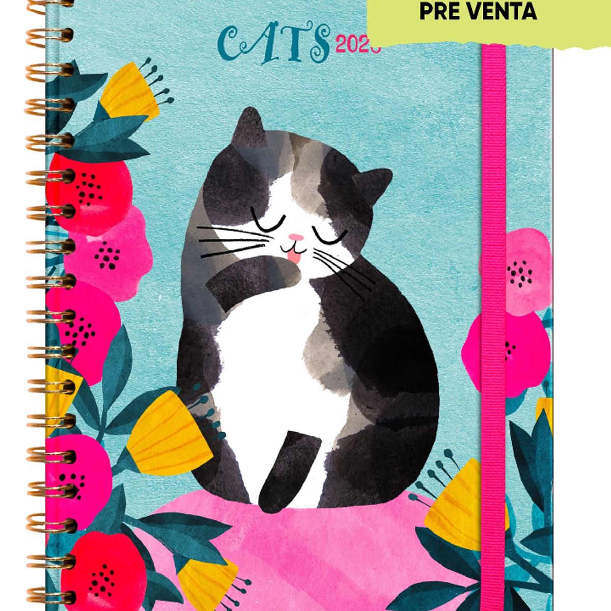 DGNOTTAS - Agenda PP 2026 Cats, Gato Semanal + post its