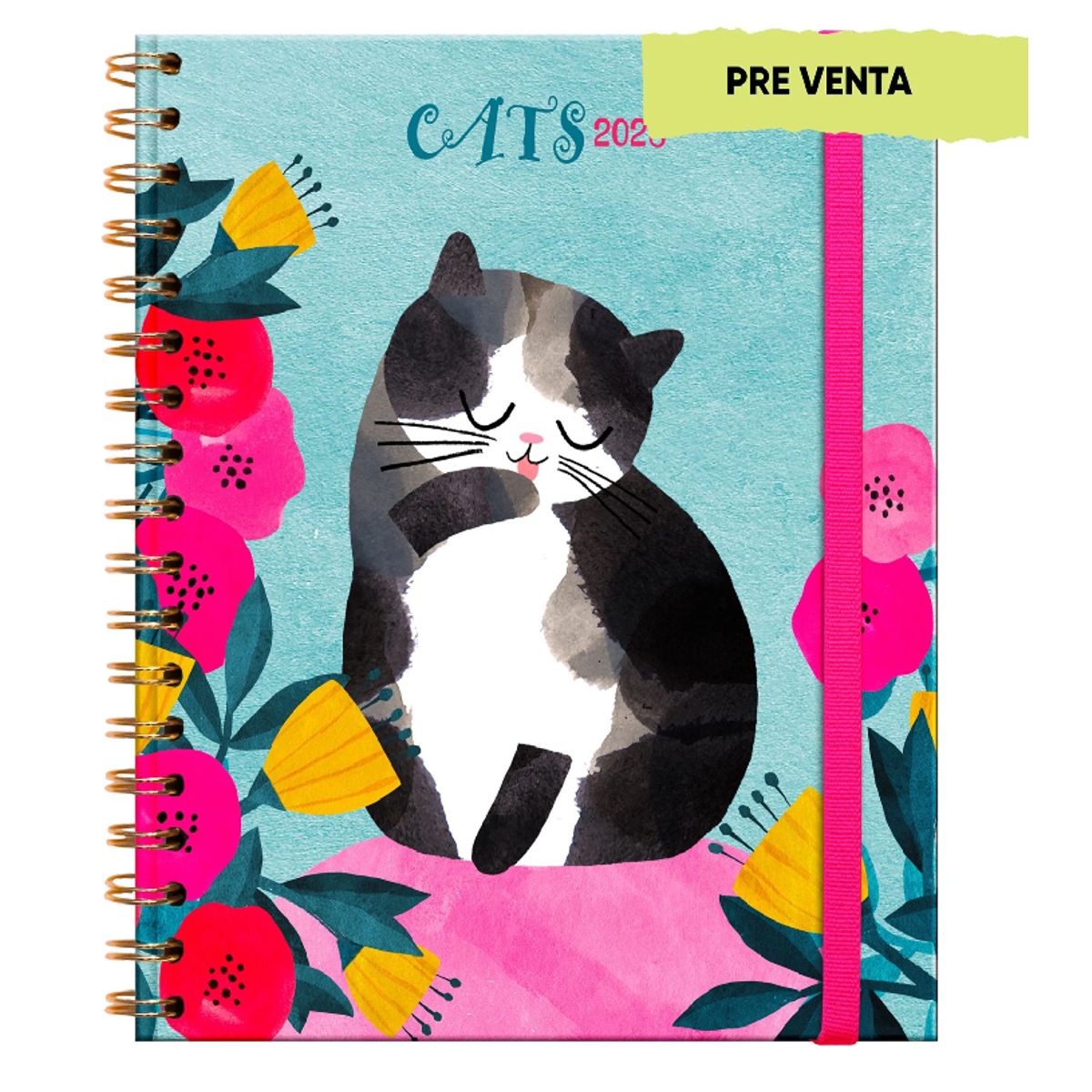 DGNOTTAS - Agenda PP 2026 Cats, Gato Semanal + post its