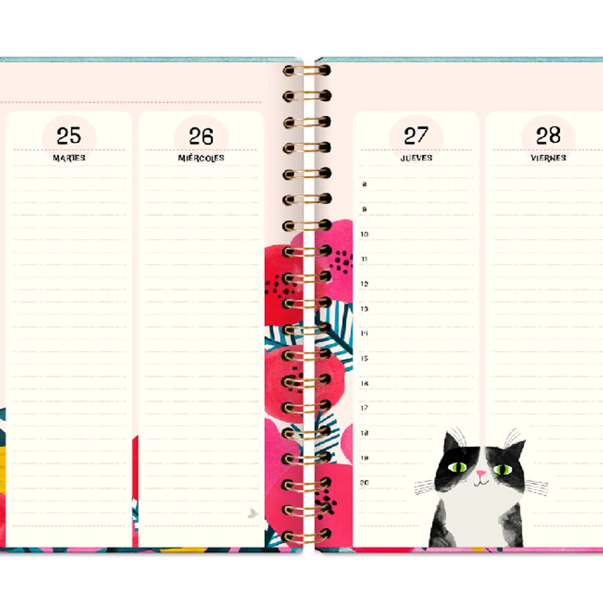 DGNOTTAS - Agenda PP 2026 Cats, Gato Semanal + post its