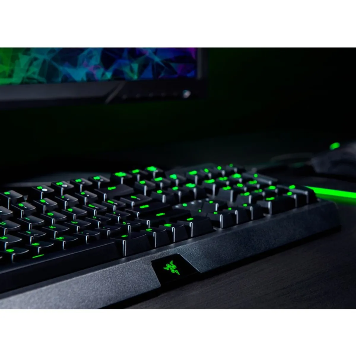 RAZER - Teclado Mecánico Essential Blackwidow Gaming Razer