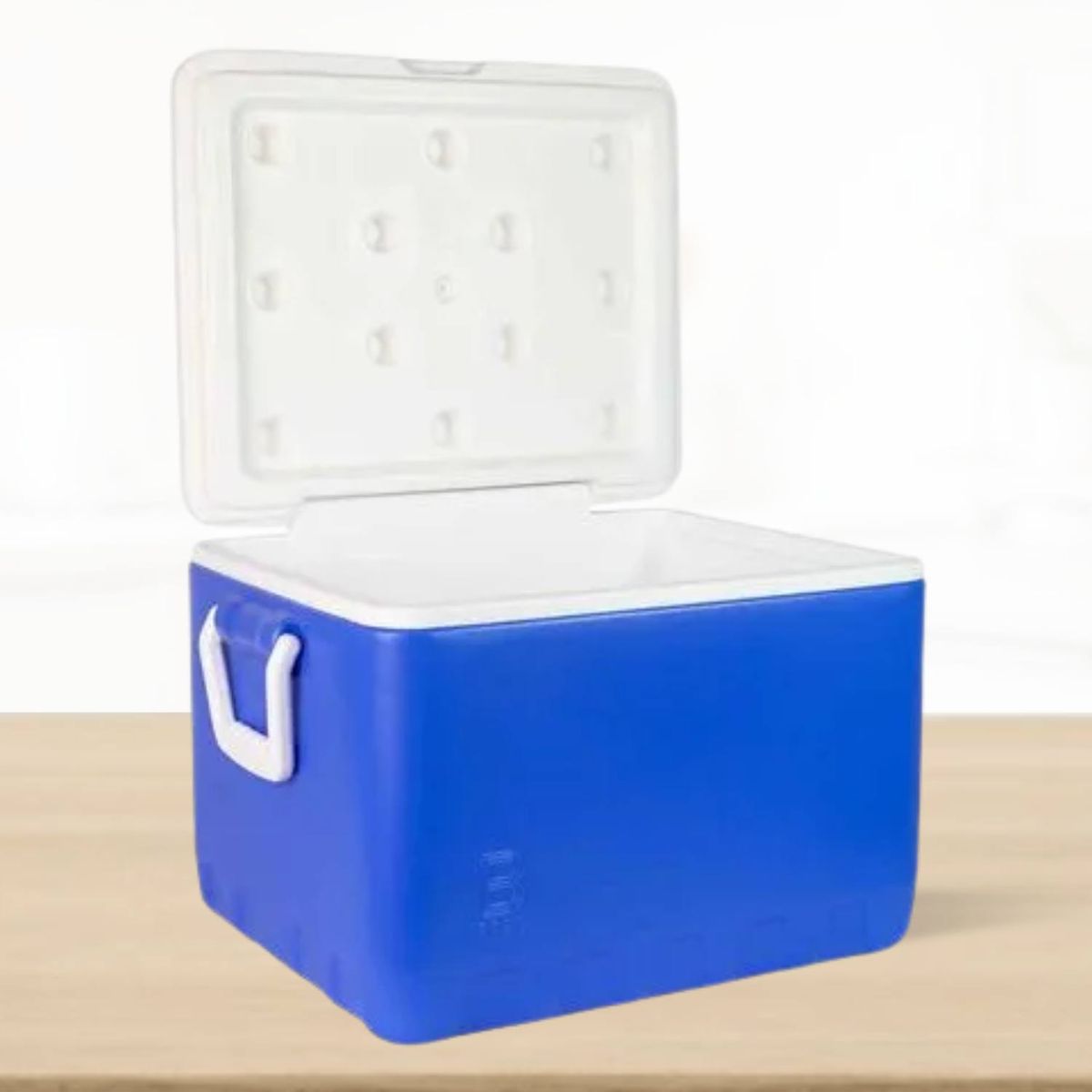 BASA - Cooler de Polipropileno Ycepro Rectangular Azul Basa 34 l