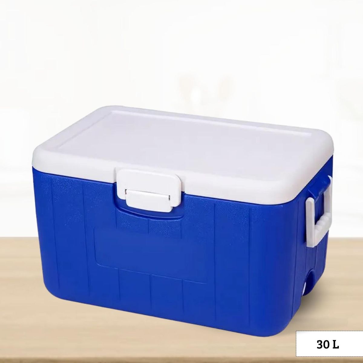 ICHIMATSU - Cooler rectangular Azul con Dos Asa Lateral 30 Litros