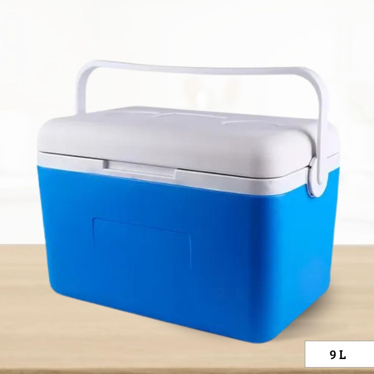 ICHIMATSU - Cooler Rectangular Azul con una Sola Asa 9 Litros