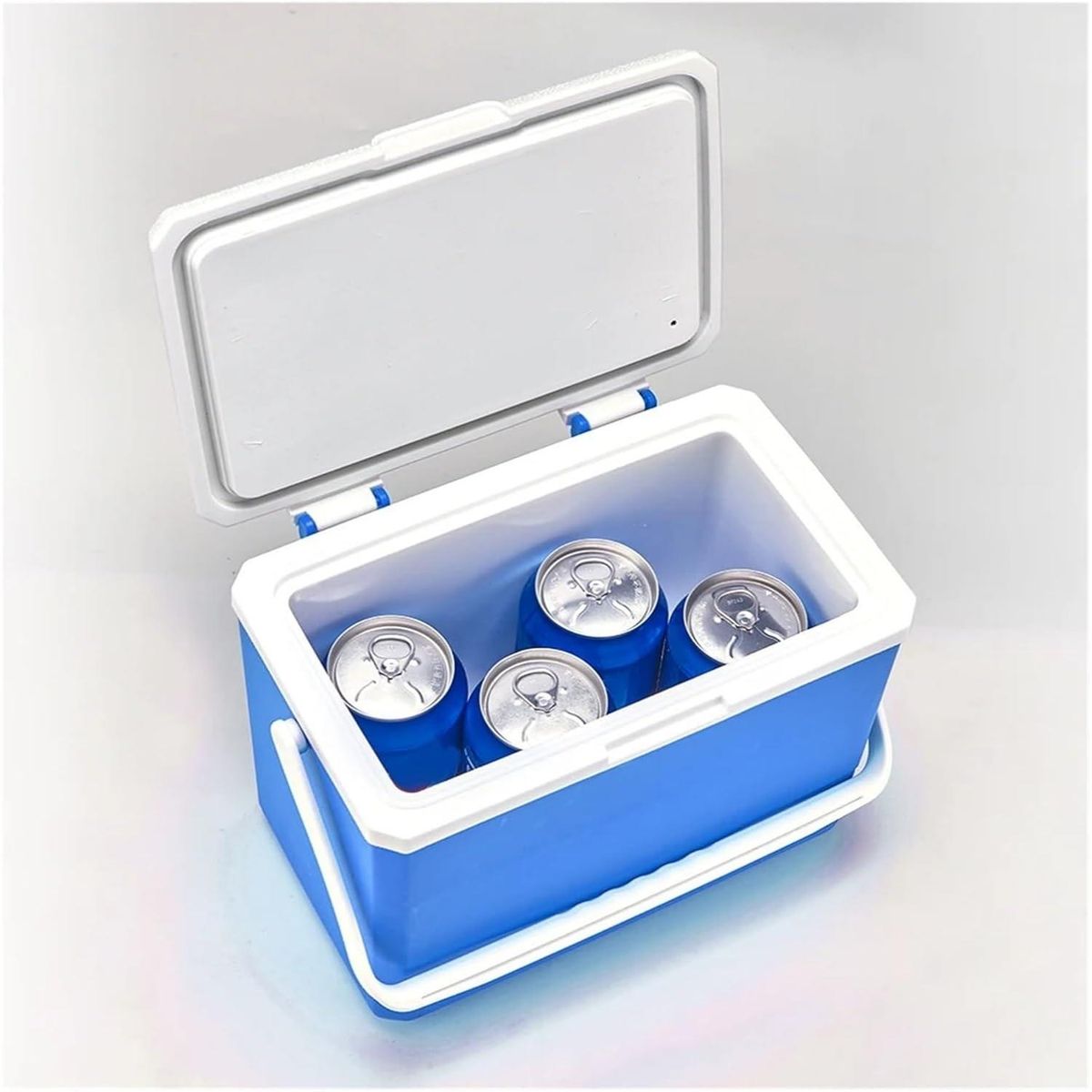 ICHIMATSU - Cooler Rectangular Azul con una Sola Asa 9 Litros