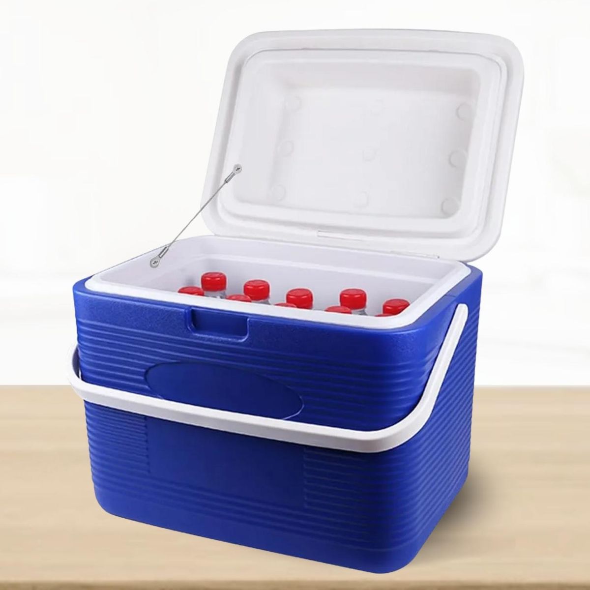 ICHIMATSU - Cooler Rectangular Azul con una Sola Asa 27 Litros