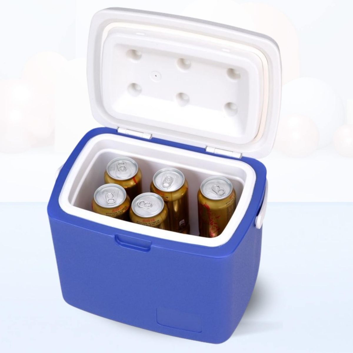 ICHIMATSU - Cooler Rectangular Azul con una Sola Asa 12 Litros