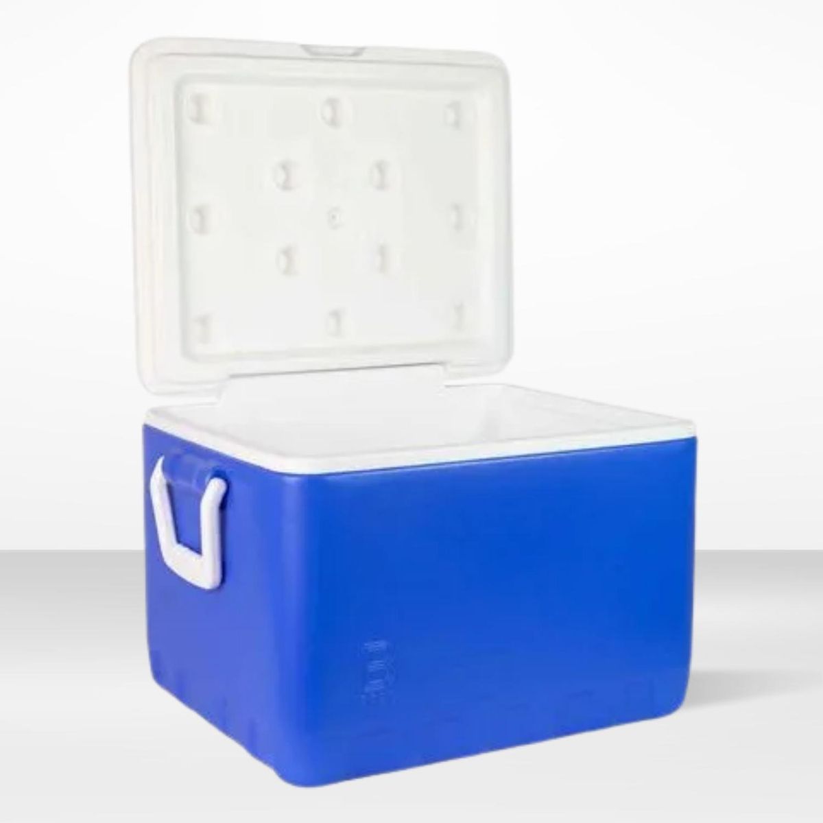 BASA - Cooler de Polipropileno Ycepro Rectangular Azul Basa 34 l