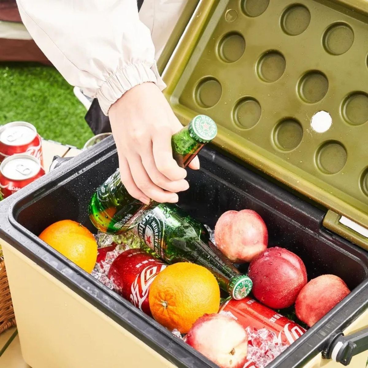 ICHIMATSU - Cooler Rectangular Verde con Dos Asa Laterales 36 Litros