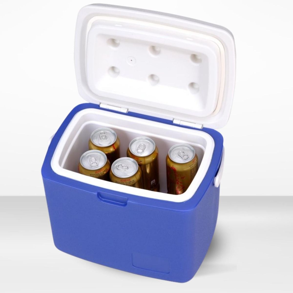 ICHIMATSU - Cooler Rectangular Azul con una Sola Asa 12 Litros