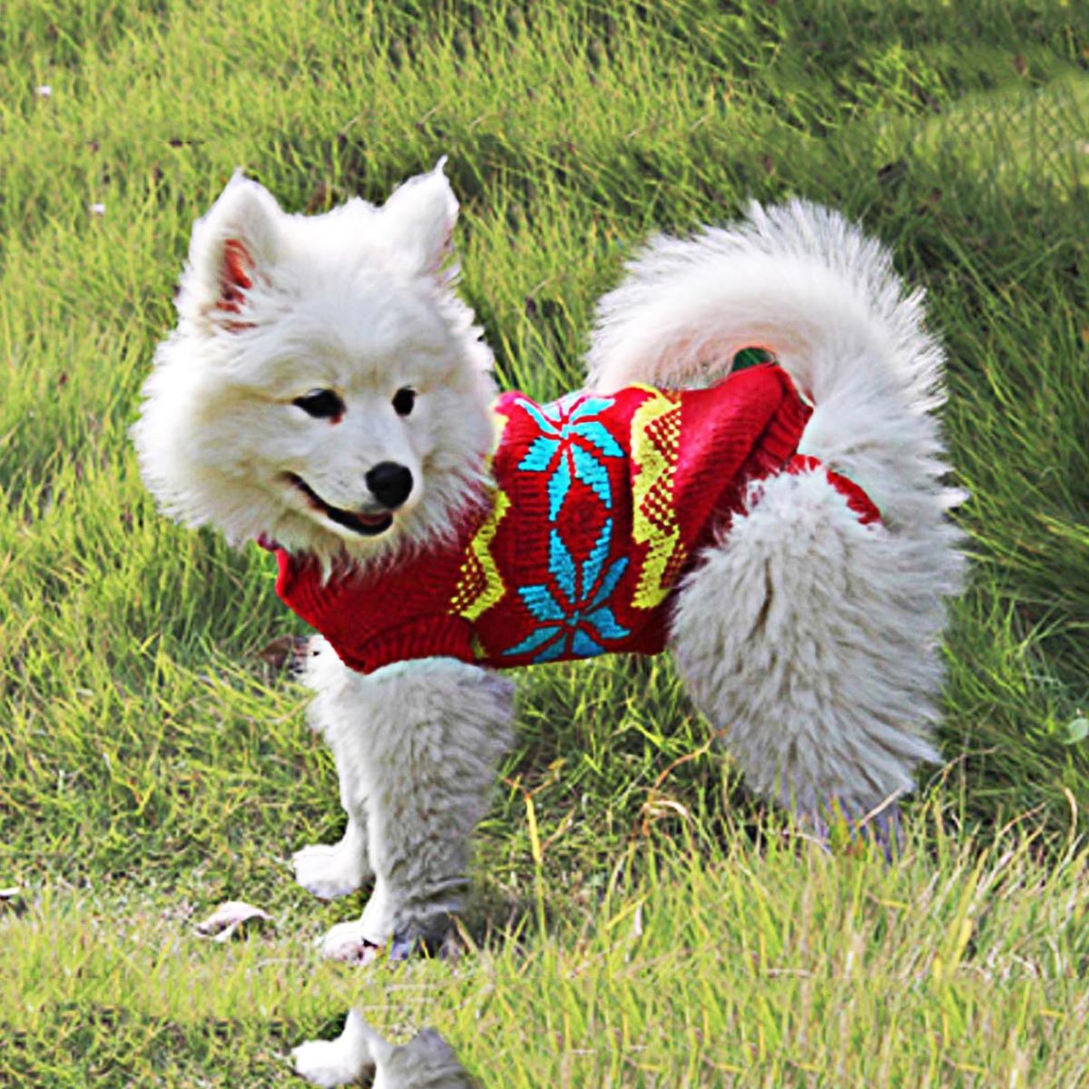 GENERICO - CHOMPA ROJA CON ESTRELLAS PARA PERRO GATO - TALLA S
