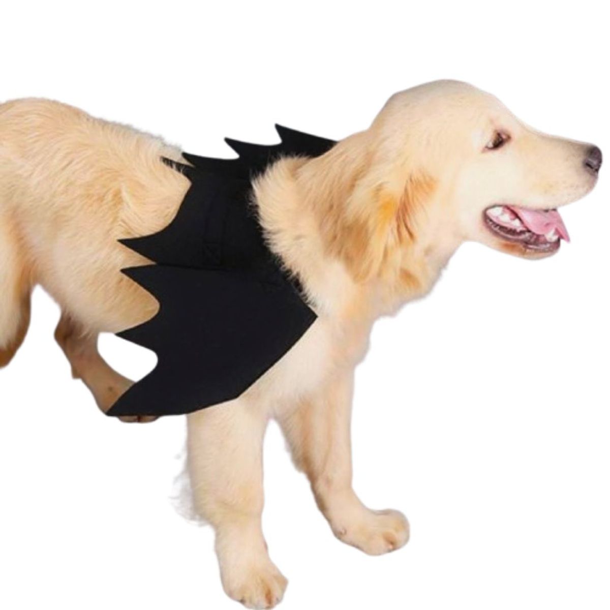 GENERICO - DISFRAZ de Halloween Alas de MURCIÉLAGO para Mascotas S