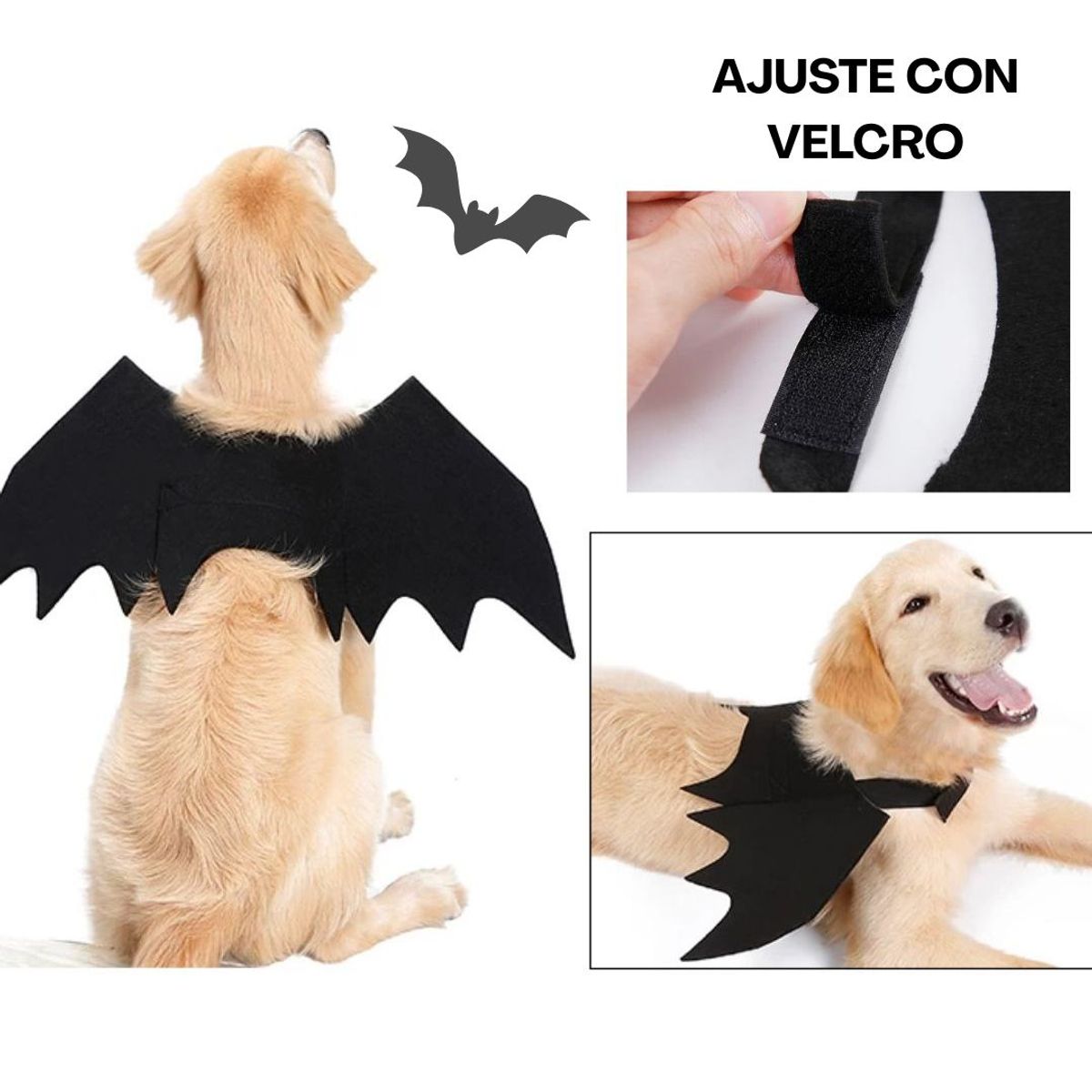 GENERICO - DISFRAZ de Halloween Alas de MURCIÉLAGO para Mascotas S