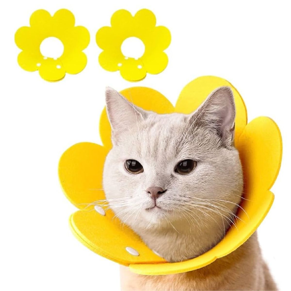 GENERICO - Cono isabelino flor amarillo perros y gatos pequeños XL