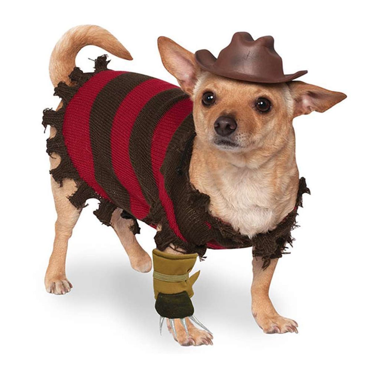 GENERICO - Rubies Disfraz para Perro Freddy XL