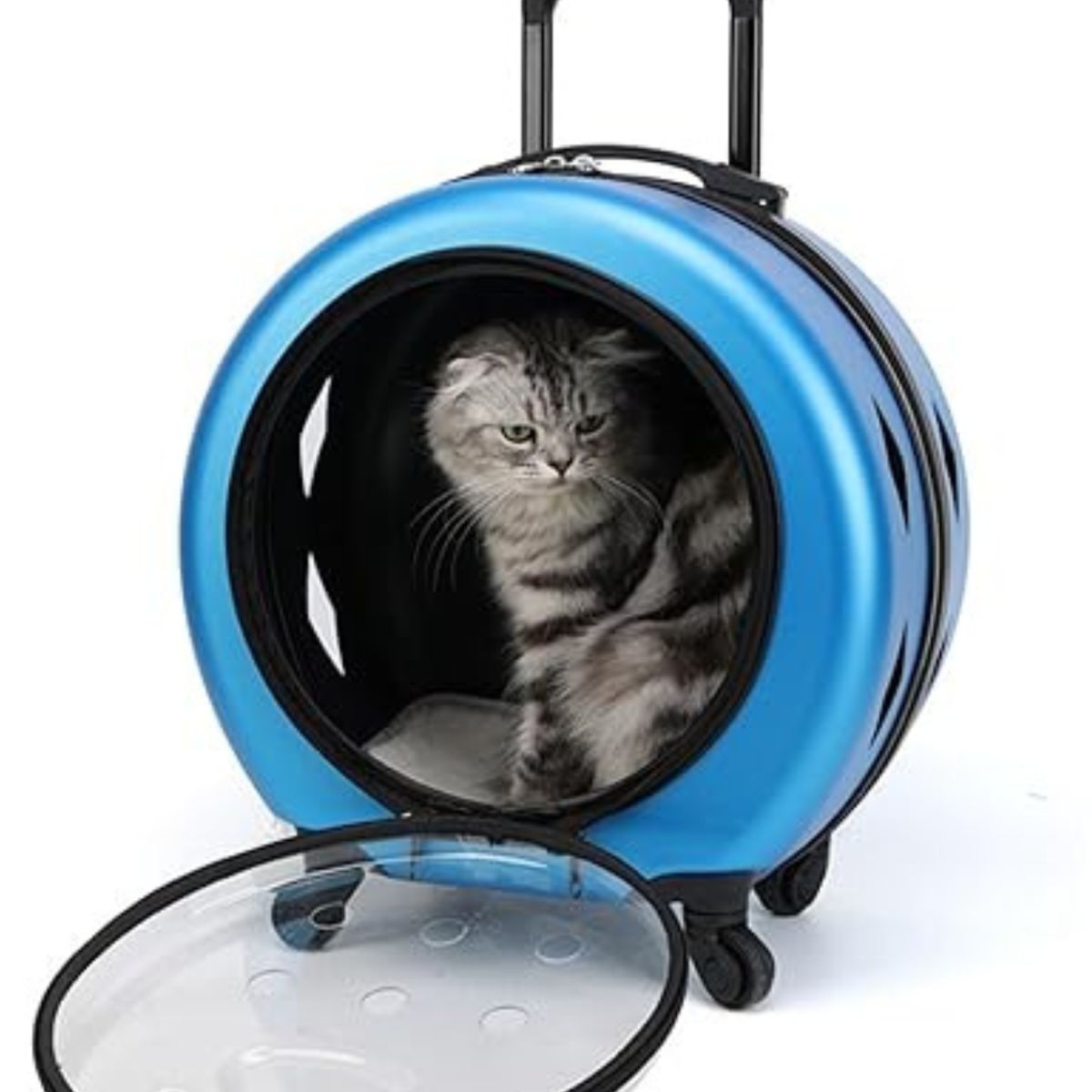 GENERICO - TRANSPORTADOR CON RUEDAS PARA GATOS Y PERROS