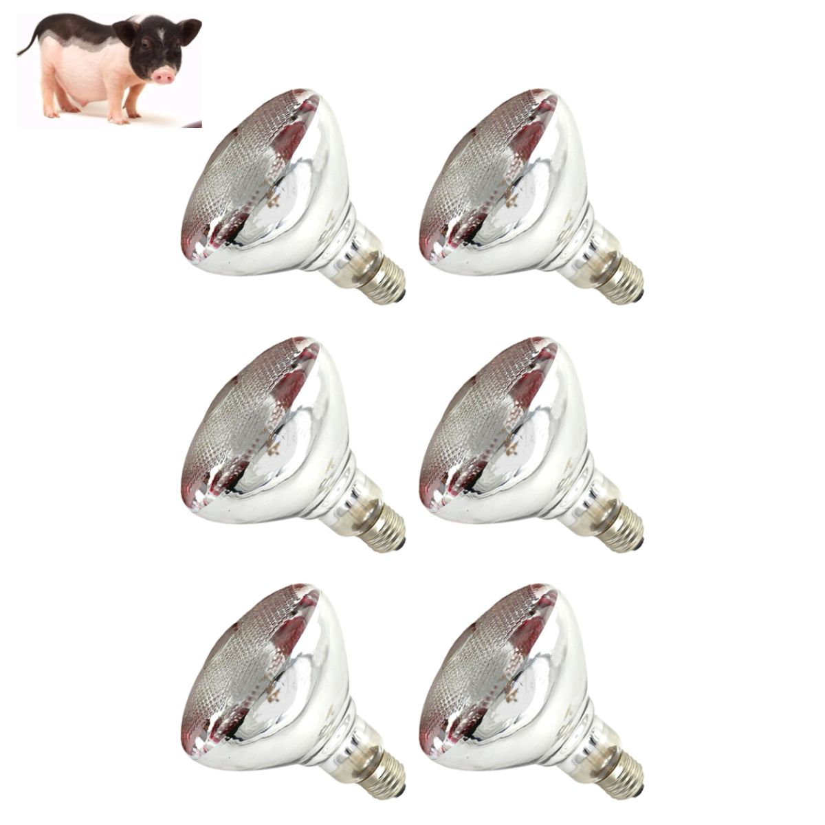 GENERICO - FOCO INFRARROJO CALEFACCIÓN PARA CERDOS PERROS POLLOS 100W PACK X6