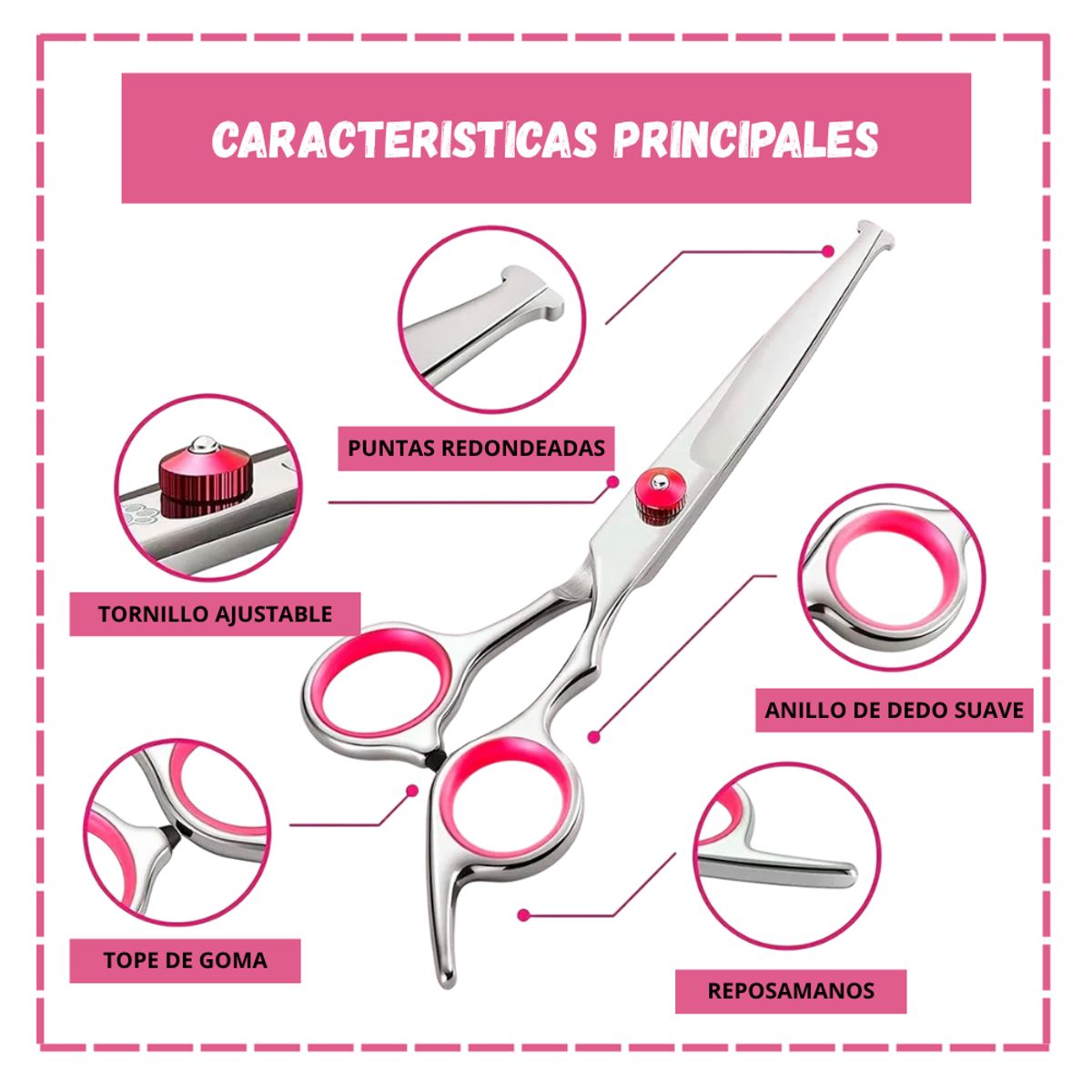 GENERICO - Juego de 4 Tijeras para Mascotas ST-16108