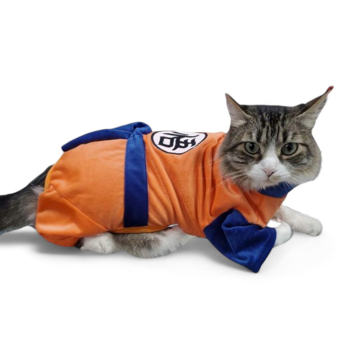 GENERICO - Dizfraz Enterizo Goku Talla 2