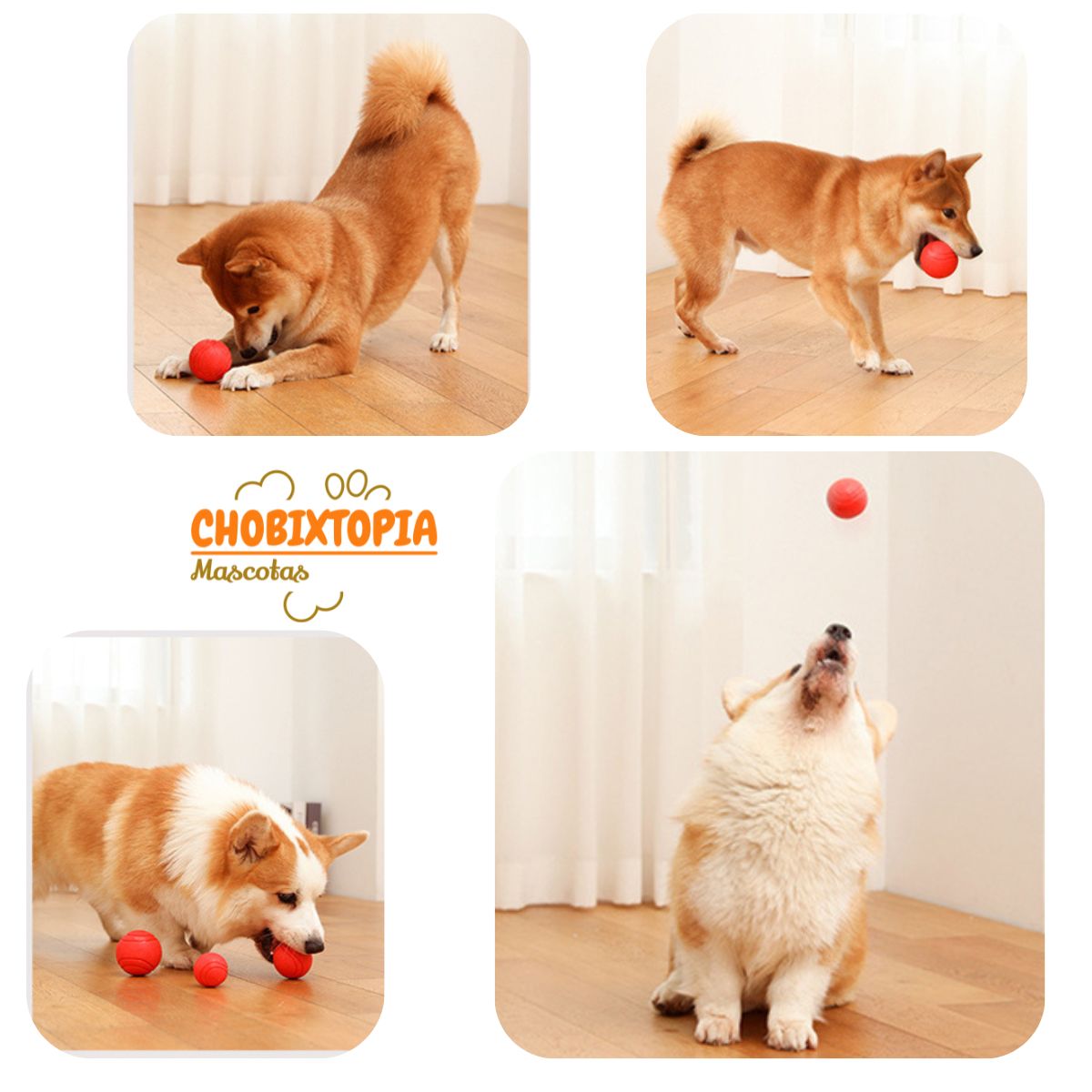 GENERICO - PELOTA ELASTICA RESISTENTE A MORDEDURAS PARA PERROS 4.5 cm