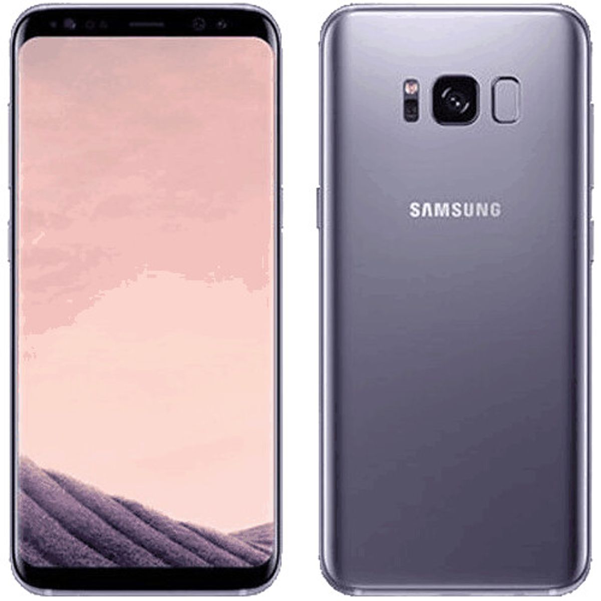 SAMSUNG - Galaxy S8 Plus 64GB Gris Entrega Inmediata Reacondicionado