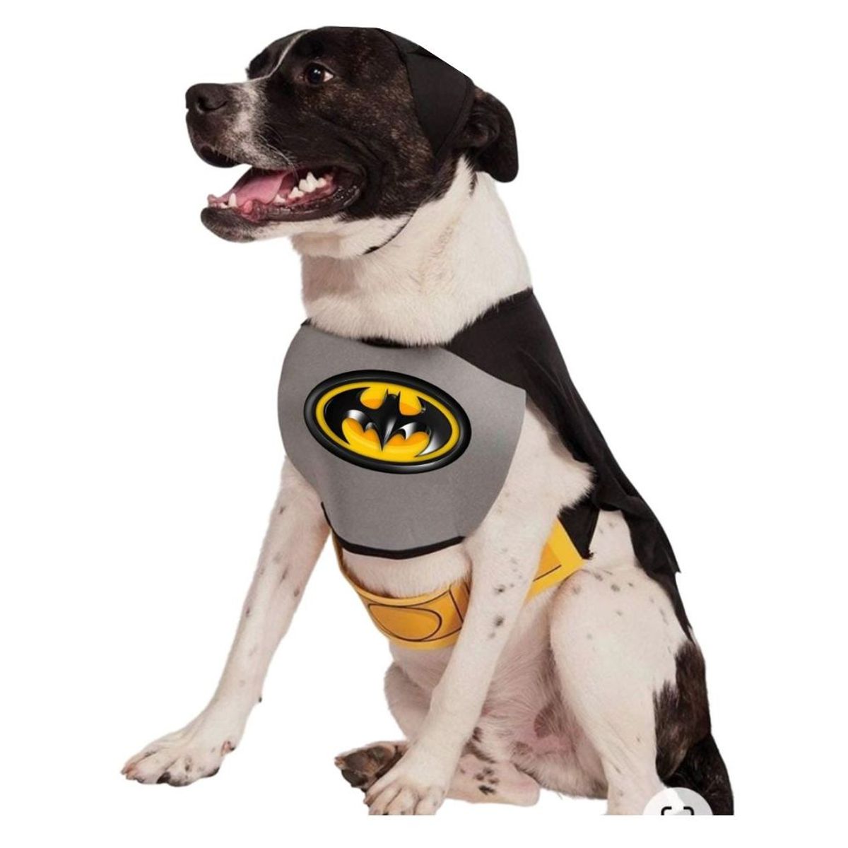 GENERICO - DISFRAZ de Halloween BATMAN para Mascotas Talla M