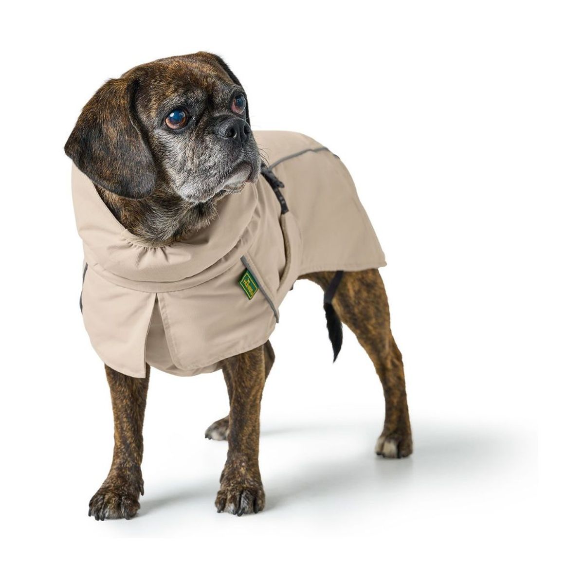 HUNTER - Hunter Abrigo para Perro Nordby Pug & French Bulldog Crema 36