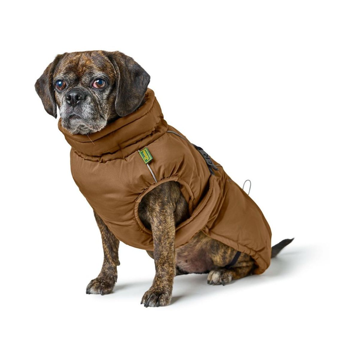 HUNTER - Abrigo para Perro Paxson Pug & French Bulldog Caramelo 44
