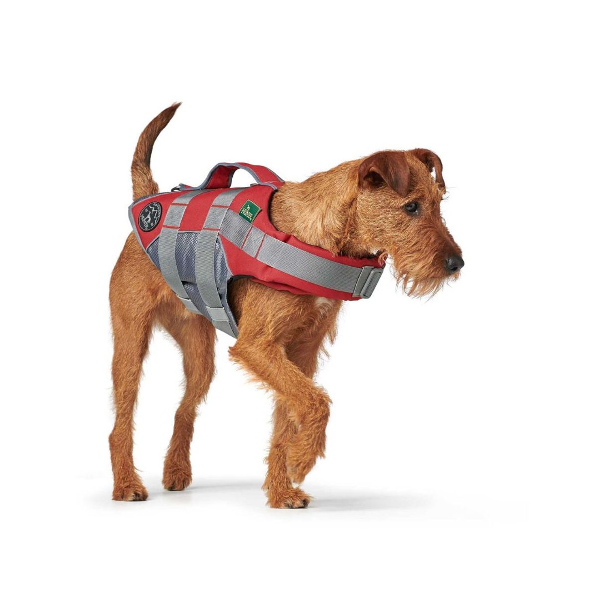 HUNTER - Hunter Chaleco Salvavidas para Perro Moss M