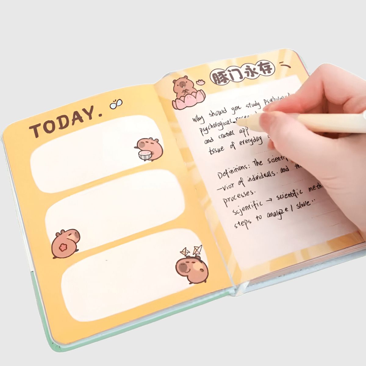 GENERICO - Agenda Diario Capibara Decorada Tapa Cuero PU Celeste