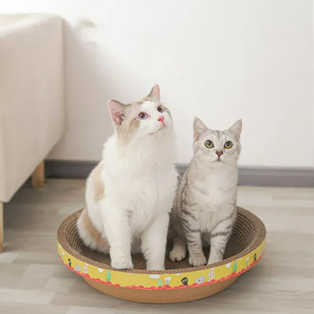 GENERICO - CAMA RASCADOR CIRCULAR PARA GATO 40 cm