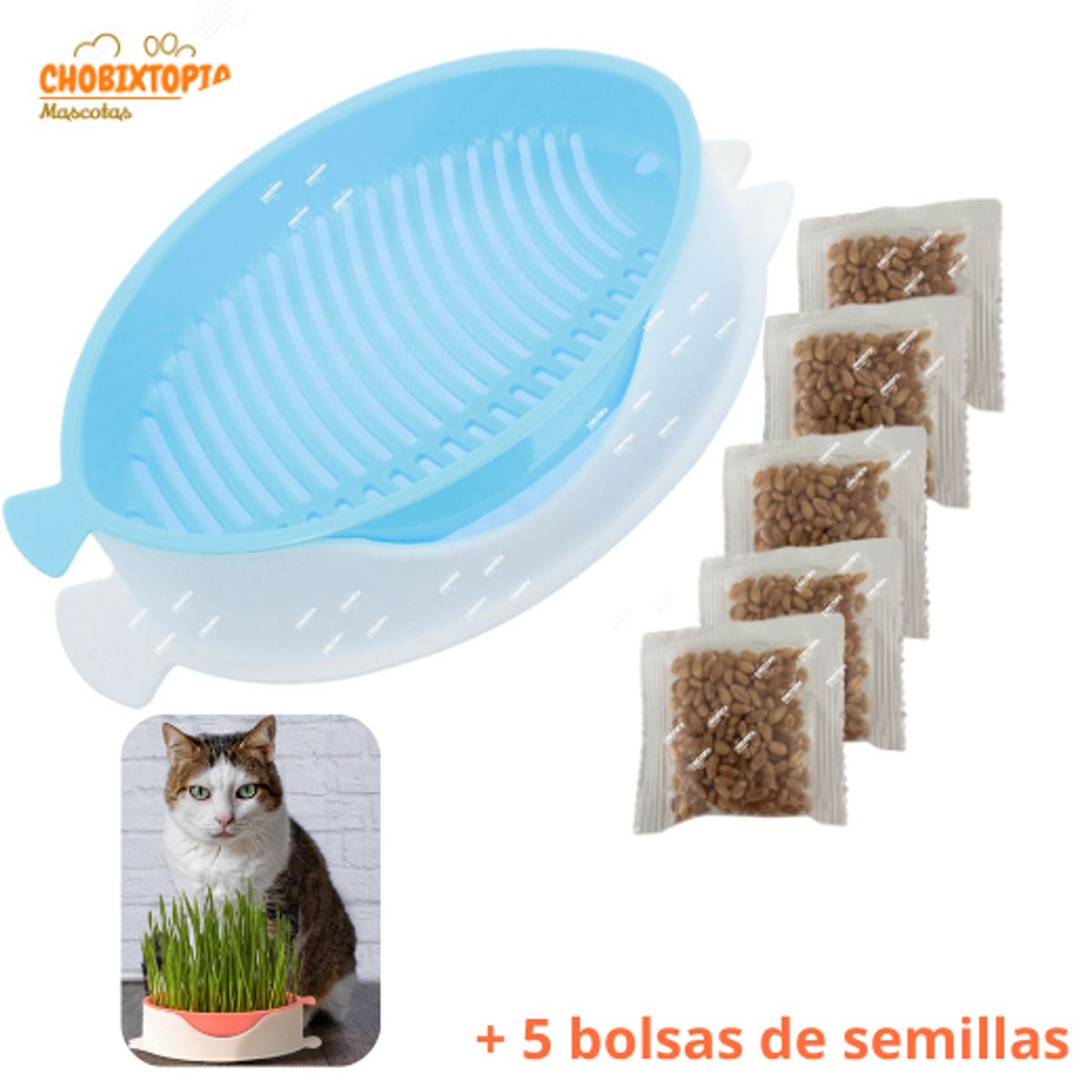 GENERICO - MACETA PARA HIERBA GATERA-PESCADITO-MASCOTA GATO - CELESTE