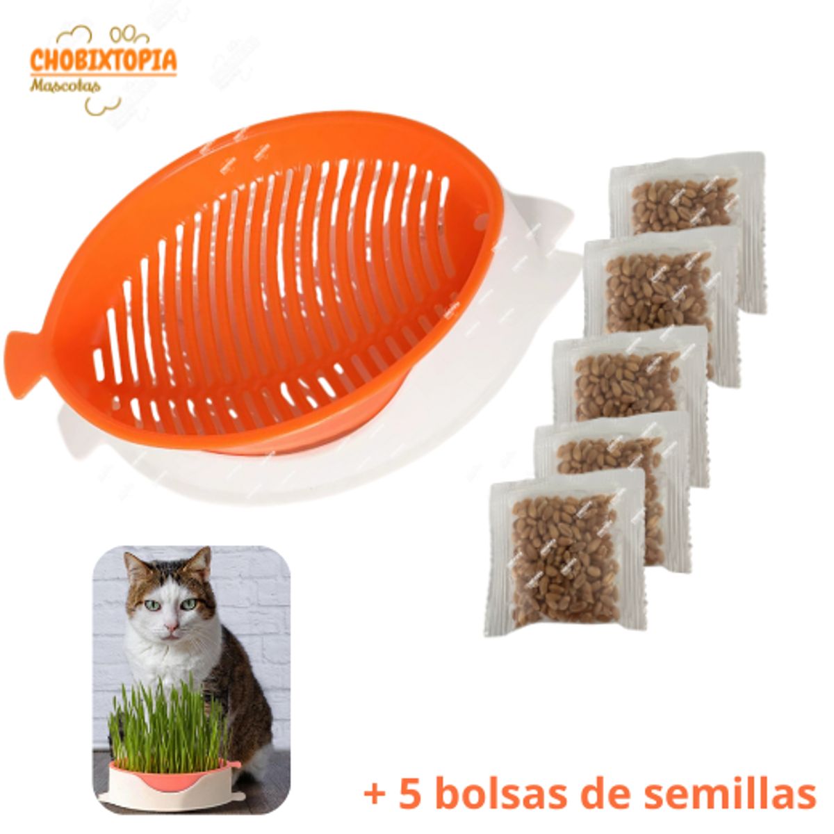 GENERICO - MACETA PARA HIERBA GATERA-PESCADITO-MASCOTA GATO - NARANJA