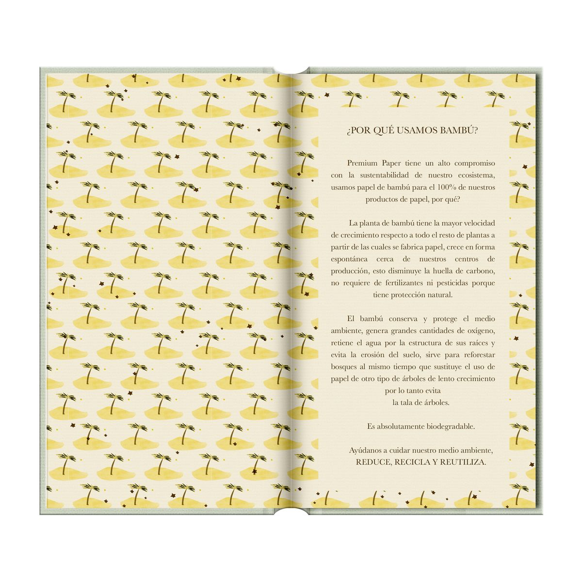 DGNOTTAS - Agenda Principito 2026 Chequera Le Petit Prince