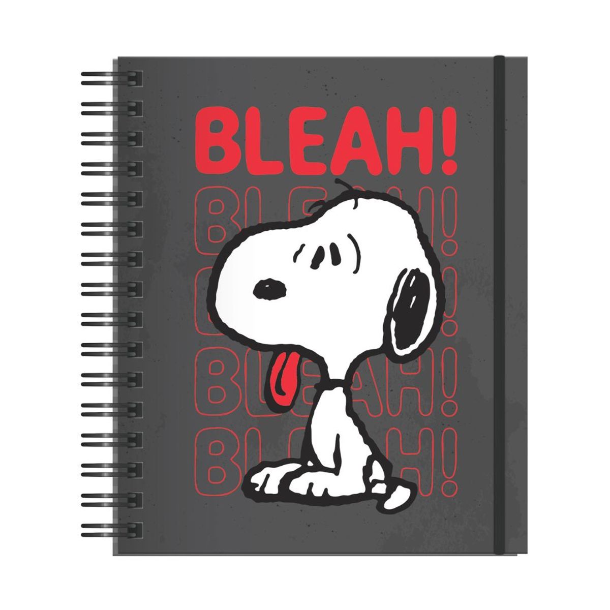 DGNOTTAS - Agenda Snoopy 2026 Peanuts