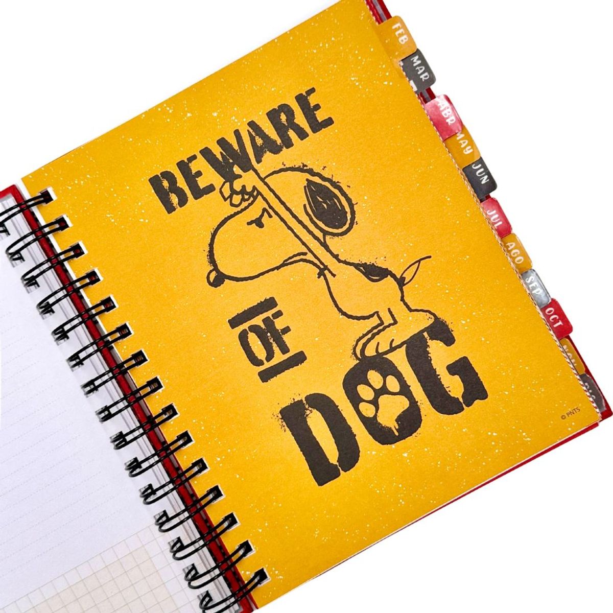 DGNOTTAS - Agenda Snoopy 2026 Peanuts