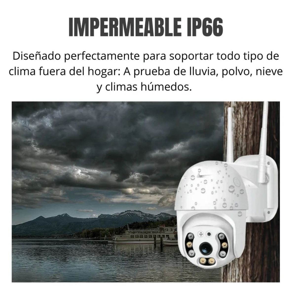 OEM - Cámara de vigilancia Mini PTZ Wifi Inteligente IP66 Visión Nocturna