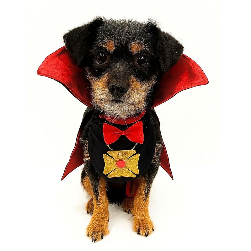 GENERICO - DISFRAZ de Halloween DRÁCULA para Mascotas Talla S