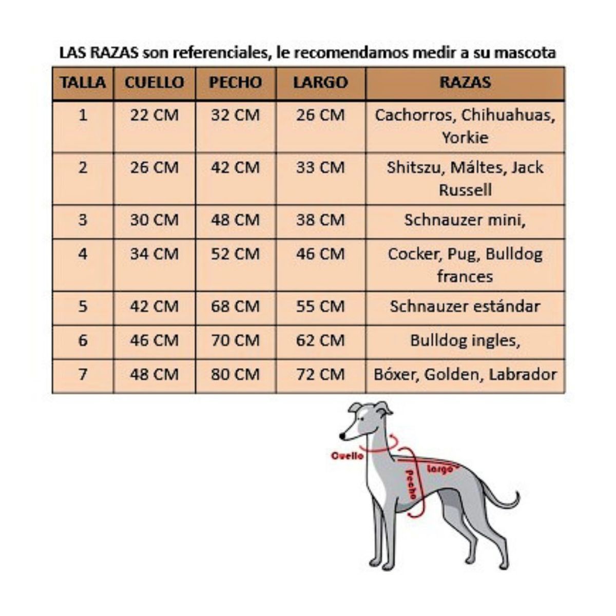 GENERICO - DISFRAZ Pijama de DINOSAURIO para Mascotas Talla 1