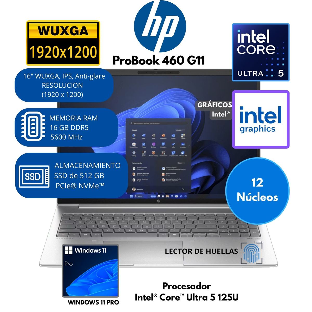 HP - Laptop HP ProBook 460 G11 Core Ultra 5 RAM 16 GB SSD 512 GB 16" WUXGA Windows 11 PRO