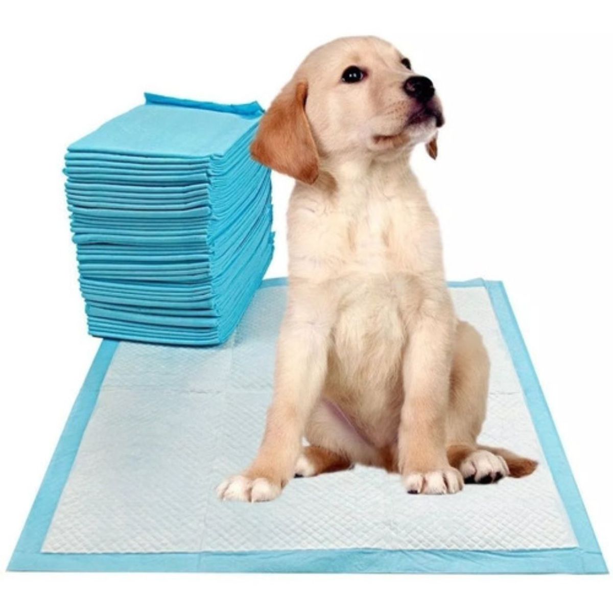 GENERICO - Pañal De Piso Entrenamiento Para Perros gel M